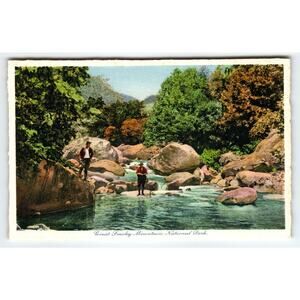 Vintage Linen Postcard Great Smoky Mountain National Park Fishing Stream